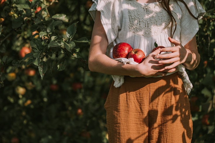 Qué árboles frutales cultivar en macetas - El Jardín de Venus